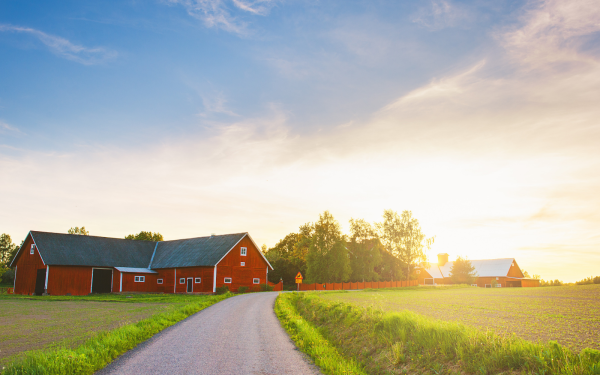 Urban food insecurity and isolated farmers: Tackling two issues with the internet