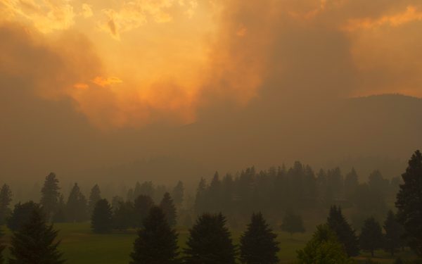 Emergency response and recovery: What about the Internet?