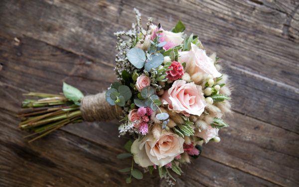 .CA site was a key ingredient for the Blush & Bloom business launch
