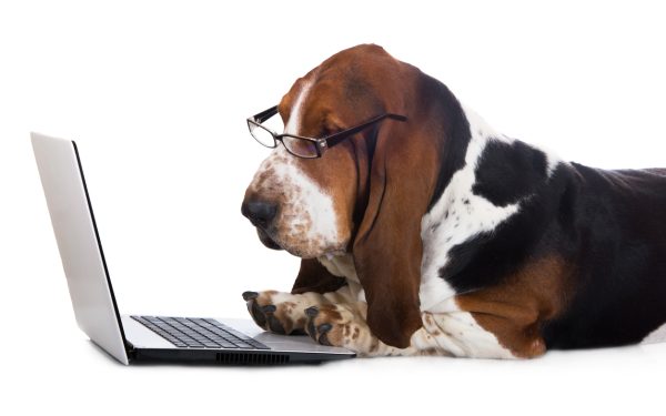 Best Canadian dog blogs and websites