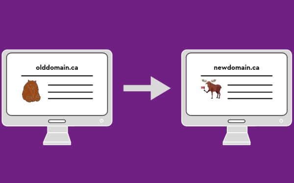 How to change your domain name