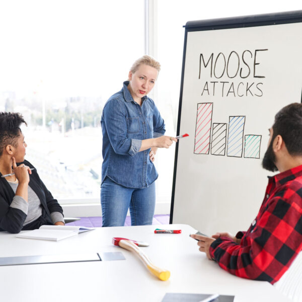 Are you trying to figure out HST for your new business?