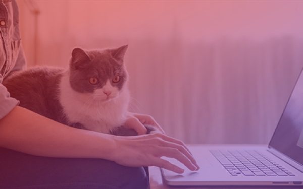 Free course: cybersecurity practices for remote workers