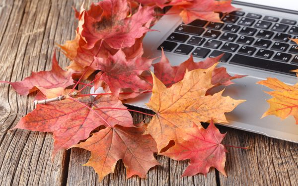 6 reasons why now is a great time to start cybersecurity awareness training
