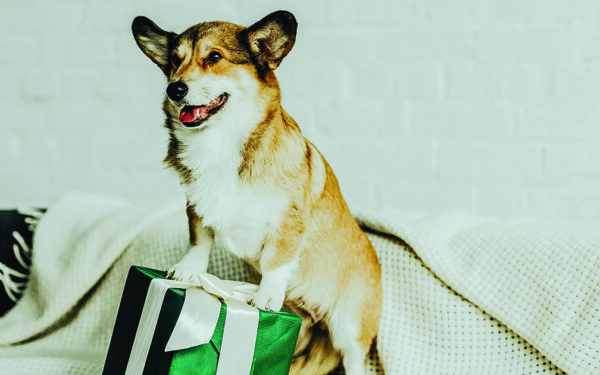 Say “I ruff you” with perfect pet gifts
