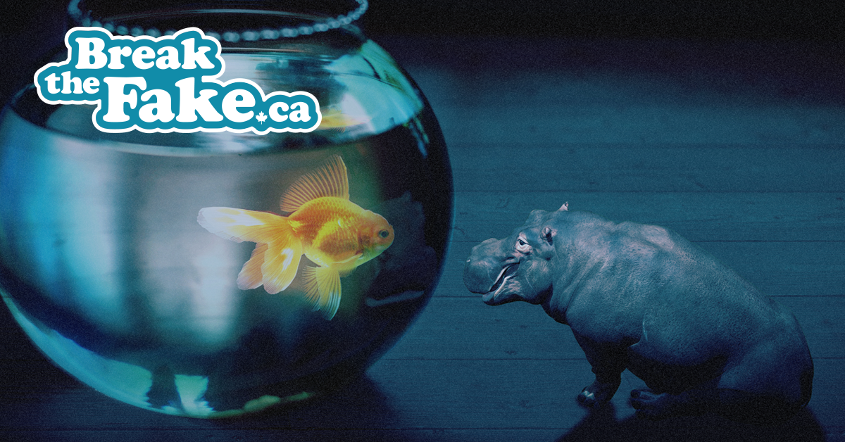 BreakFake_hippo2.png