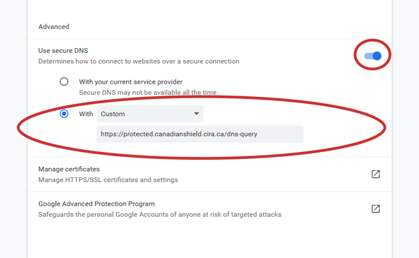Toggle on custom DNS and enter the custom resolver address