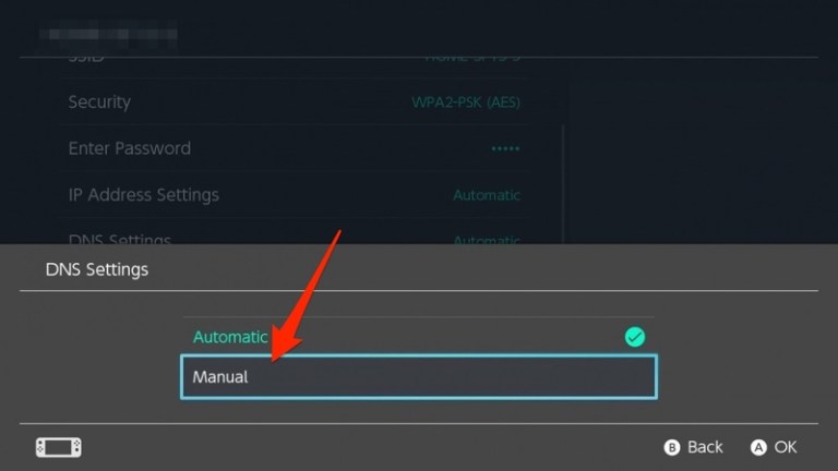 Nintendo Switch DNS settings