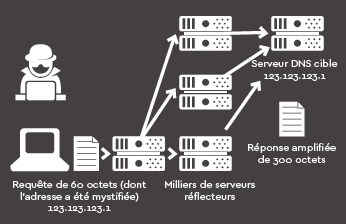 sb-how-attack-works-fr.png