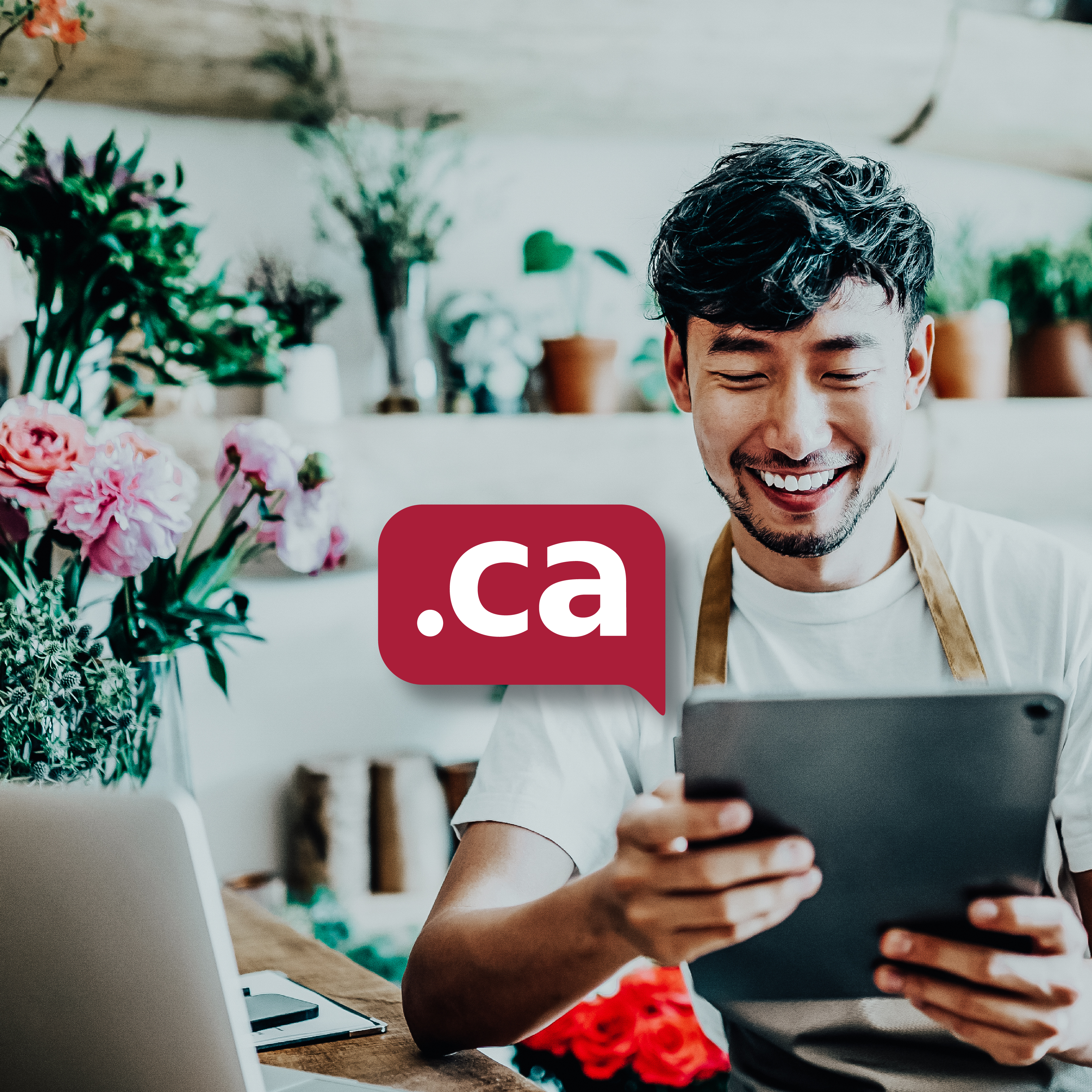 FY23 .CA Campaign - when to choose