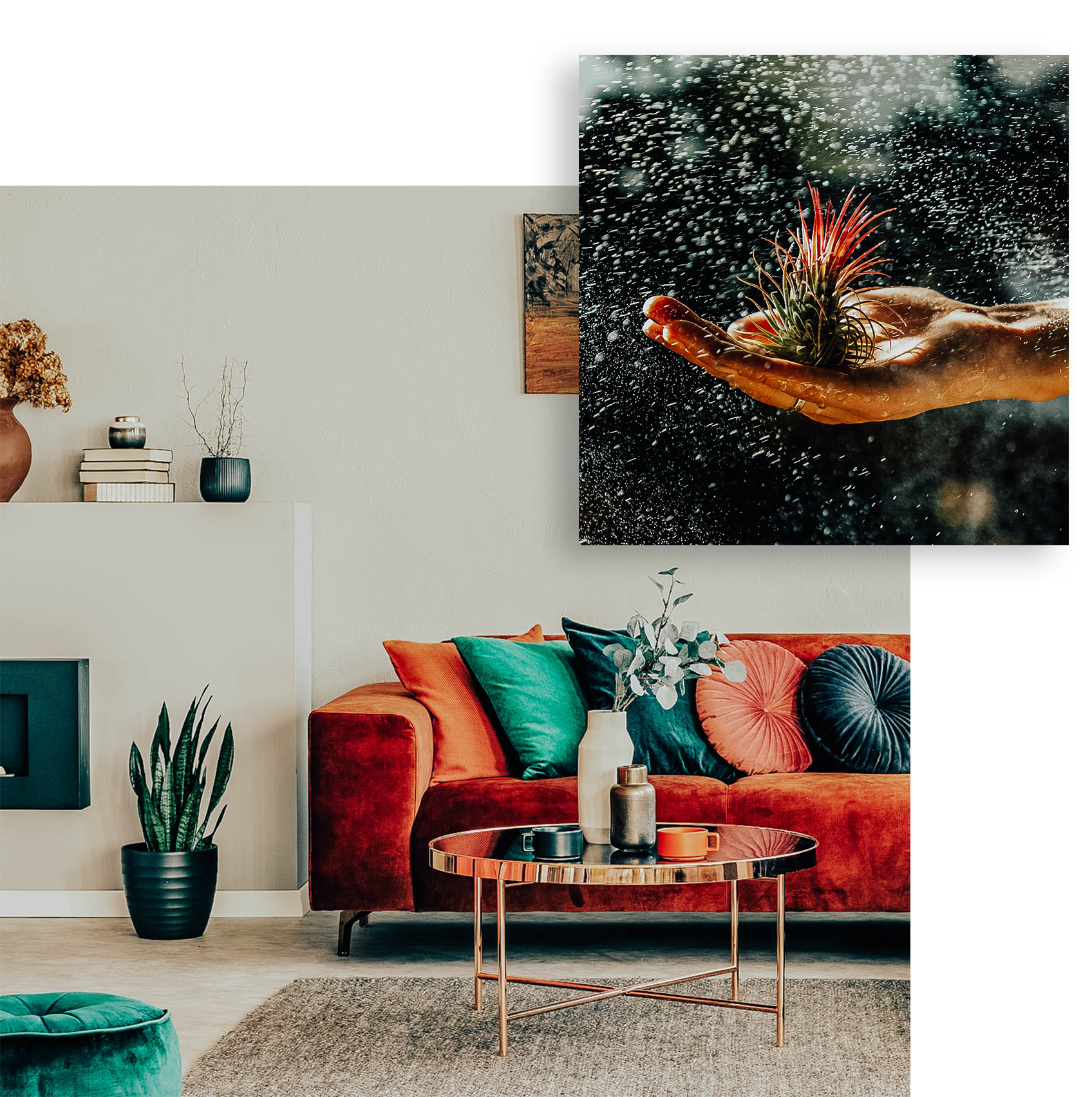 House and Home Gift Guide
