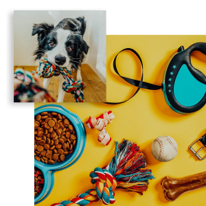 pet-gift_0
