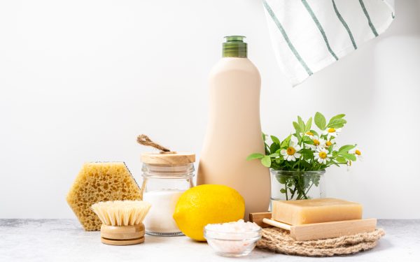 10 eco-friendly businesses to support during Earth Month
