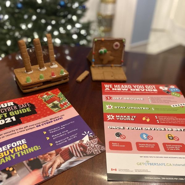 Make Cyber Security a Holiday Tradition