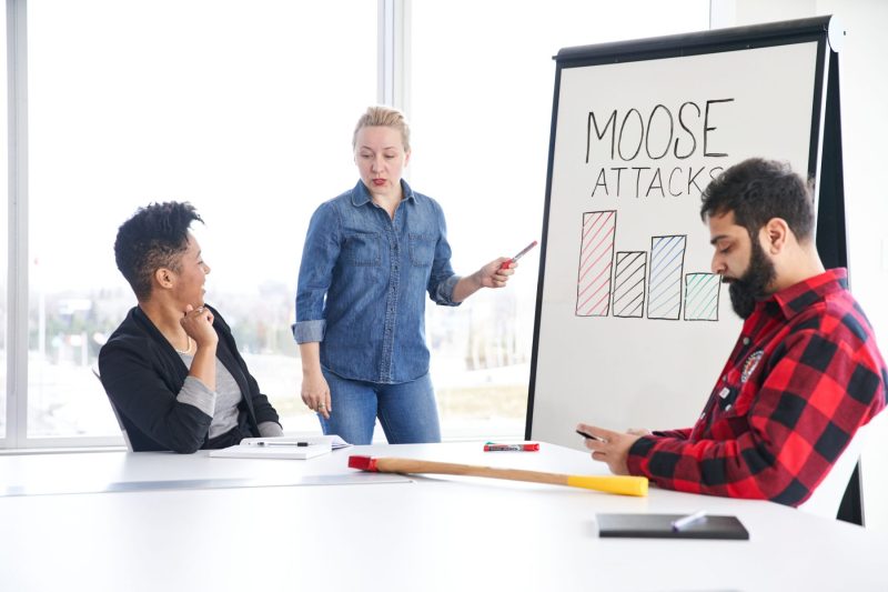 Woman in Canadian tuxedo reviews moose attack data