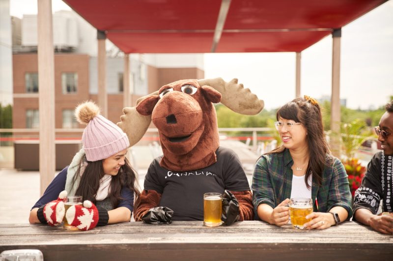 Moose enjoys beer with friends