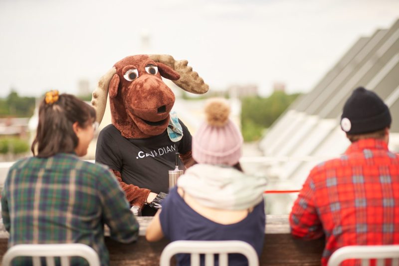 Moose tends bar