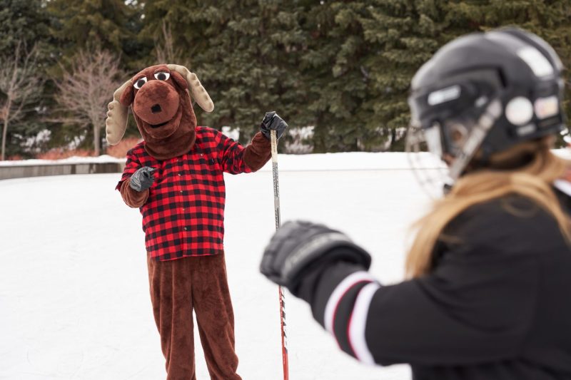 Moose calls out hockey player